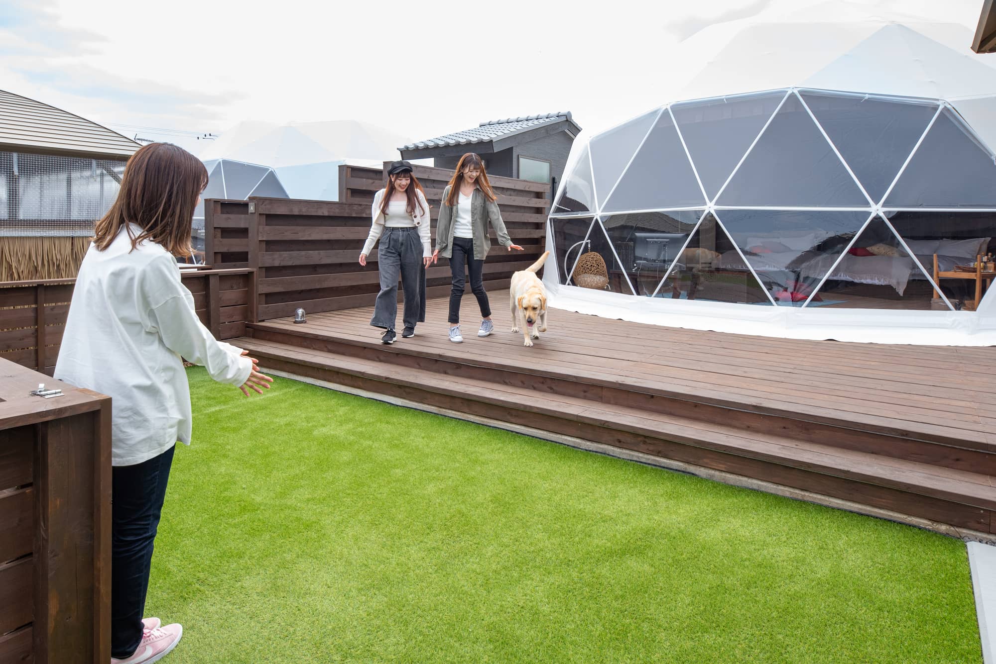 ドッグランドーム