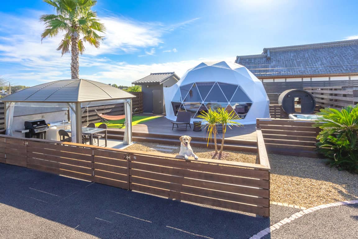 ドッグプレミアムドーム